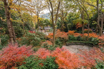 杭州永福寺第 31 张图片