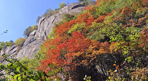 洛阳翔龙大峡谷景区