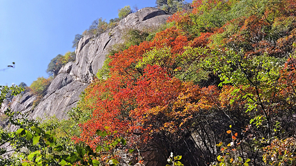 洛阳翔龙大峡谷景区第 10 张图片