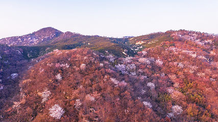 鸡公山景区第 4 张图片