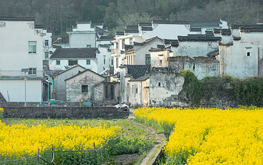 龙川景区第 1 张图片