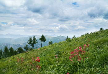 五岳寨风景区第 13 张图片