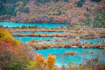 九寨沟风景区第 259 张图片