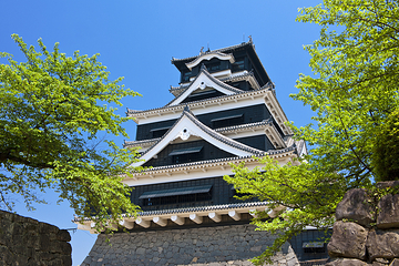 熊本城第 6 张图片