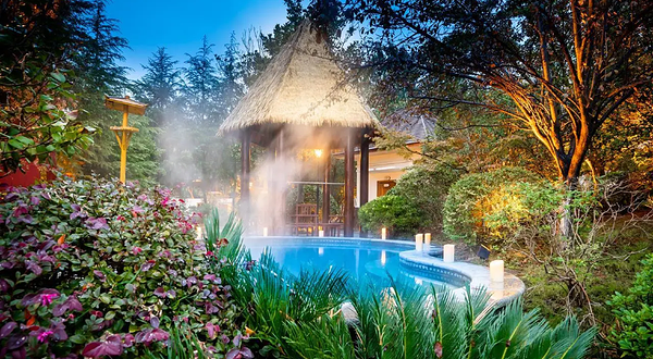 咸宁温泉文化旅游节