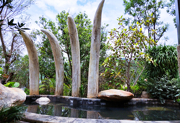 栖龙湾温泉第 34 张图片