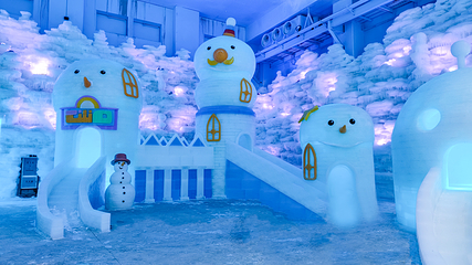 东山岛冰雪乐园第 13 张图片