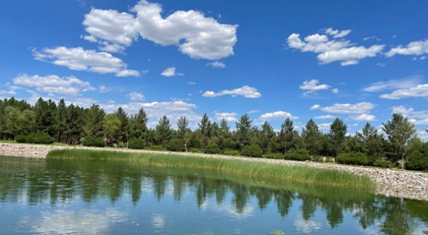 榆林沙地森林公园