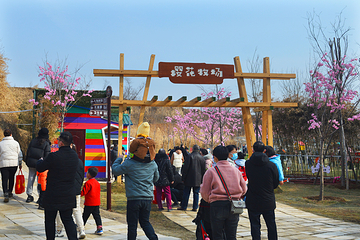 花海汉窑·那年那月第 7 张图片