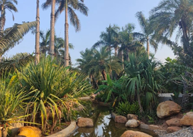 海花岛中央公园