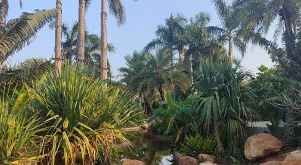 海花岛中央公园