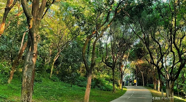 燕晗山郊野公园