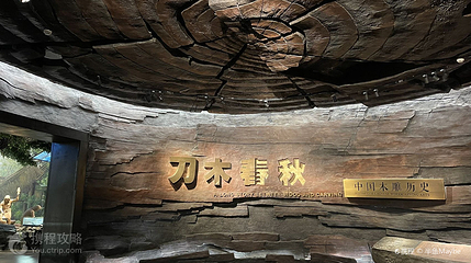 东阳中国木雕城-中国木雕博物馆第 3 张图片