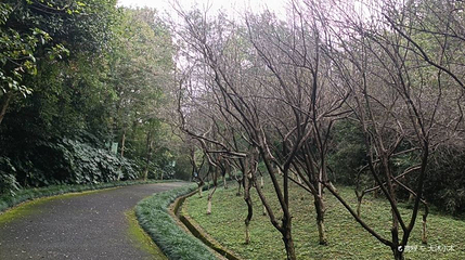 潜山公园第 1 张图片
