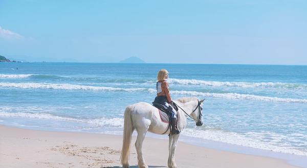 三亚海岸骑士马术俱乐部