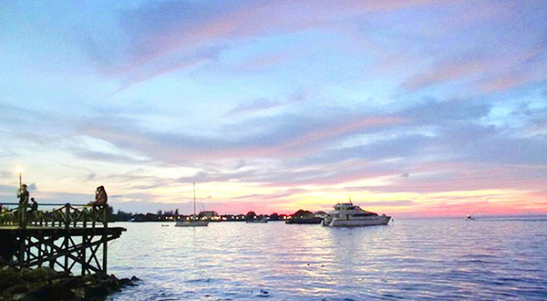 亚庇市湿地中心