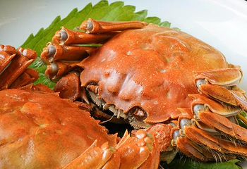 珠海中海万丽酒店·日月台全日餐厅第 17 张图片