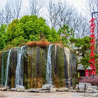 合肥滨湖国家森林公园