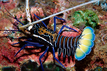 佛罗里达乐高乐园第 68 张图片