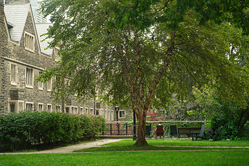 多伦多大学第 95 张图片