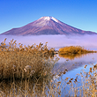 山中湖