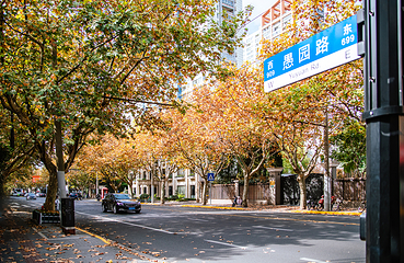 愚园路历史文化风貌区第 15 张图片