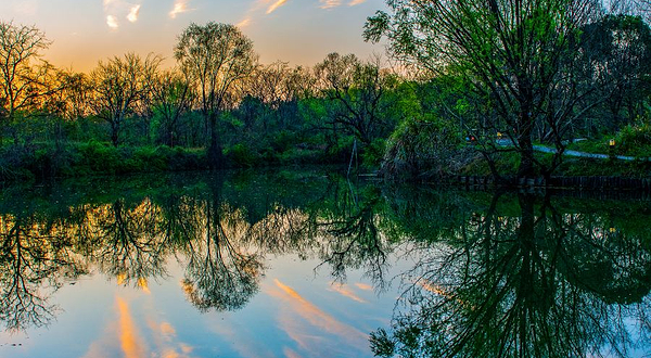 杭州湿地植物园