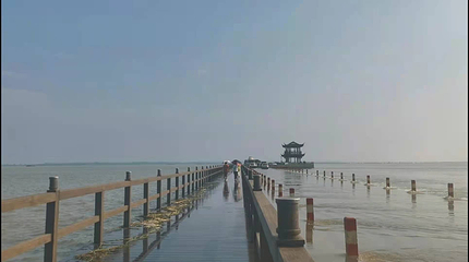 鄱阳湖吴城候鸟小镇第 19 张图片