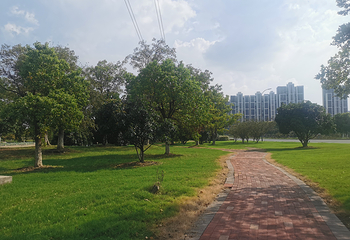 常州花博会第 10 张图片