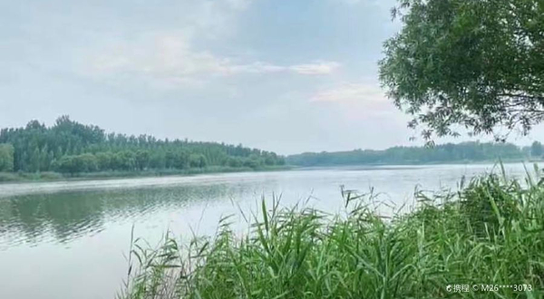 萧县黄河故道湿地公园