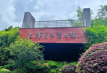 杭州植物园第 27 张图片
