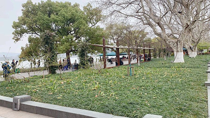 湖滨三公园第 1 张图片