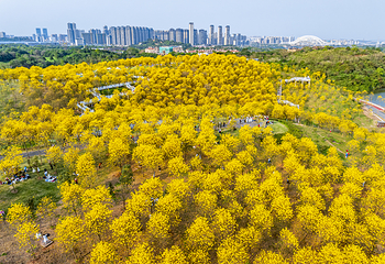 青秀山第 43 张图片