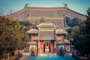 奉国寺第 6 张图片