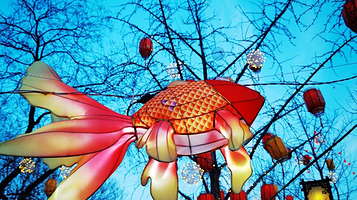 2026年北京颐和园庙会