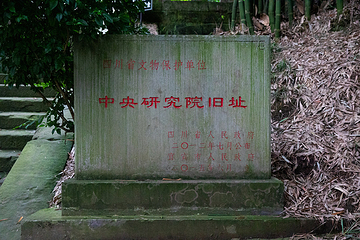 李庄文化旅游度假区第 48 张图片