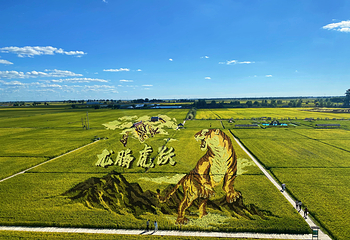稻梦空间第 46 张图片
