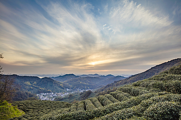 西湖风景名胜区第 325 张图片