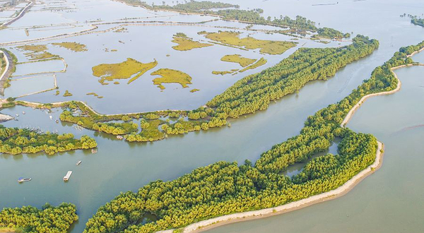 广东湛江红树林国家级自然保护区