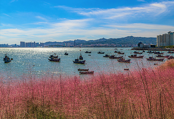 海源公园第 13 张图片