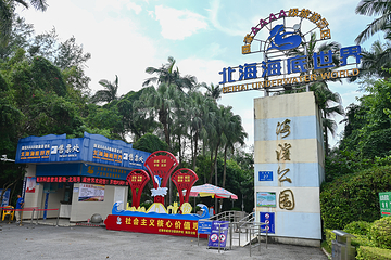 北海海底世界第 65 张图片