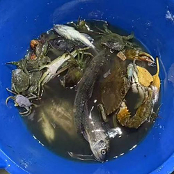 万宁赶海体验中心