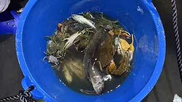 万宁赶海体验中心