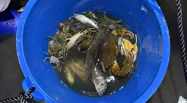 万宁赶海体验中心