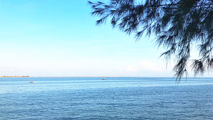 北海金海湾红树林生态旅游区第 52 张图片