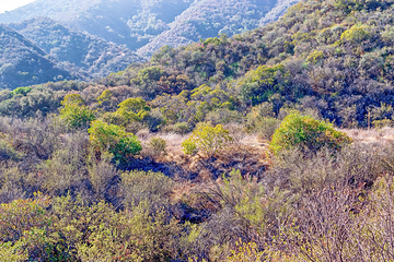 黄龙山庄旅游区第 25 张图片
