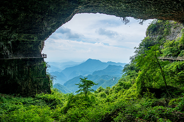金佛山北坡景区第 1 张图片