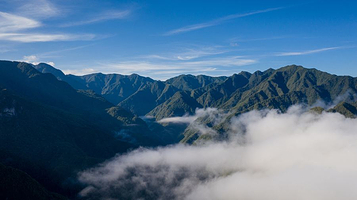 九龙山国家级自然保护区