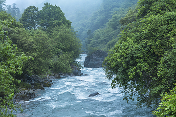 二郎山喇叭河风景区第 86 张图片