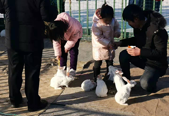 榆溪滑雪场第 8 张图片